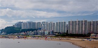 Body Washes Ashore on Dadaepo Beach