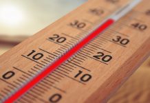 Busan Records Its Hottest Summer Ever